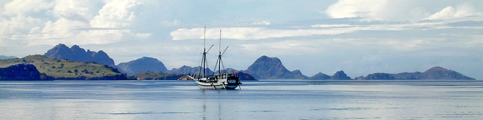 Komodo Dancer